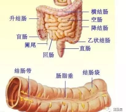 微信图片_20200717102443.jpg