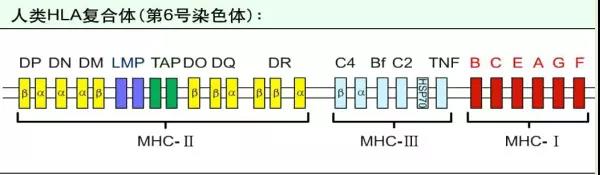 微信图片_20210512160952.jpg